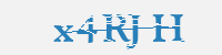 보안문자